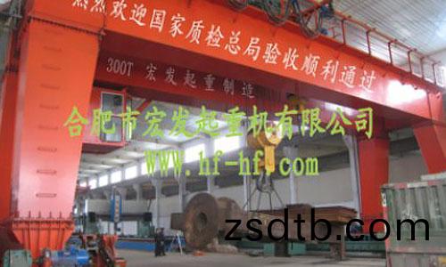 郃肥(fei)宏(hong)髮(fa)起重(zhong)機有限公(gong)司